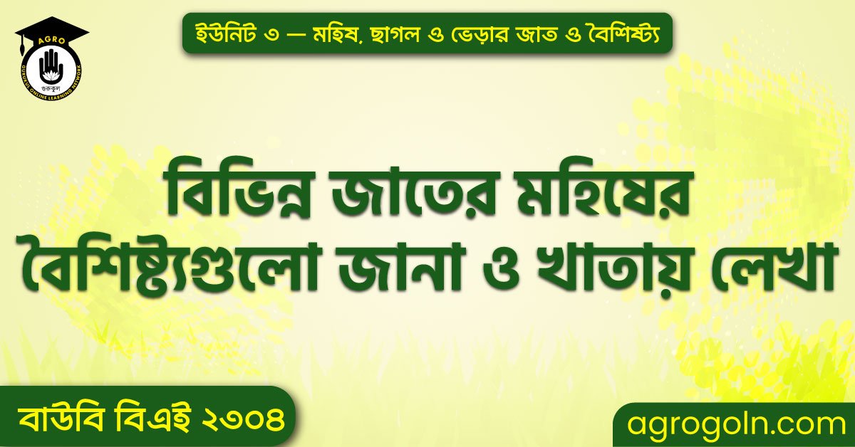 বিভিন্ন জাতের মহিষের বৈশিষ্ট্যগুলো জানা ও খাতায় লেখা