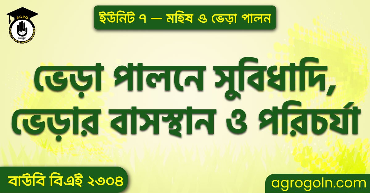 ভেড়া পালনে সুবিধাদি, ভেড়ার বাসস্থান ও পরিচর্যা