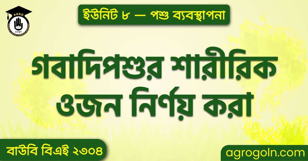 গবাদিপশুর শারীরিক ওজন নির্ণয় করা