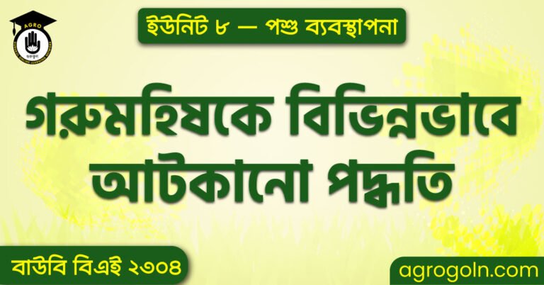  গরুমহিষকে বিভিন্নভাবে আটকানো পদ্ধতি