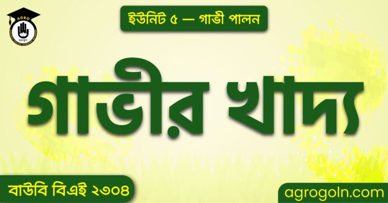 গাভীর খাদ্য