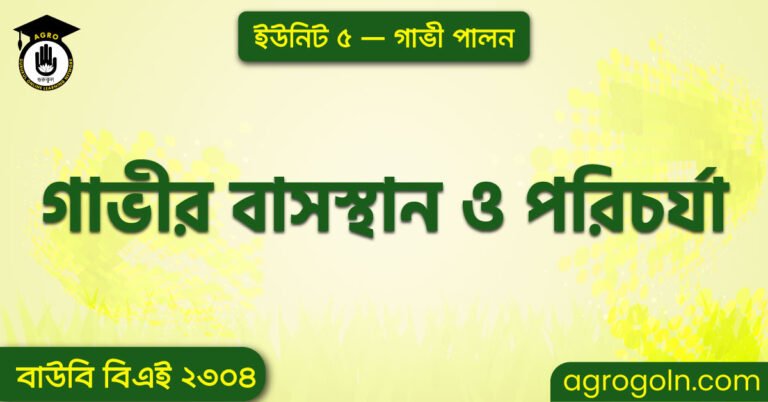 গাভীর বাসস্থান ও পরিচর্যা