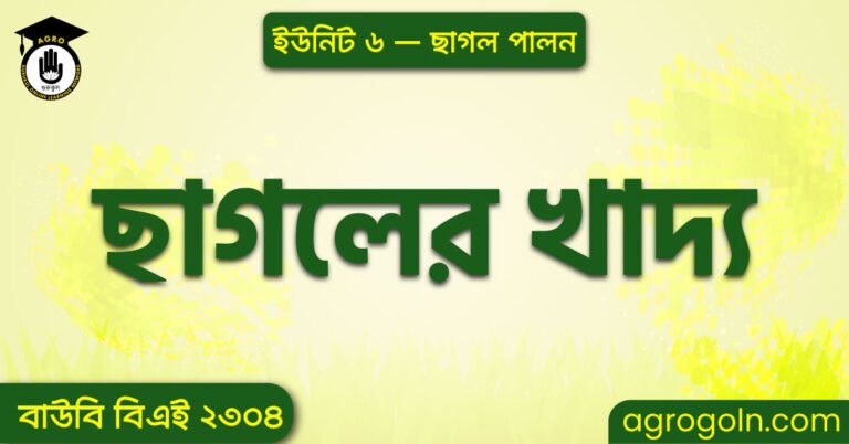 ছাগলের খাদ্য