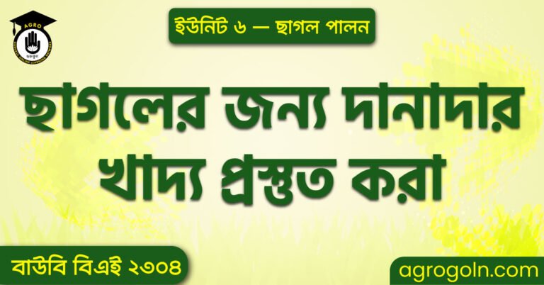 ছাগলের জন্য দানাদার খাদ্য প্রস্তুত করা