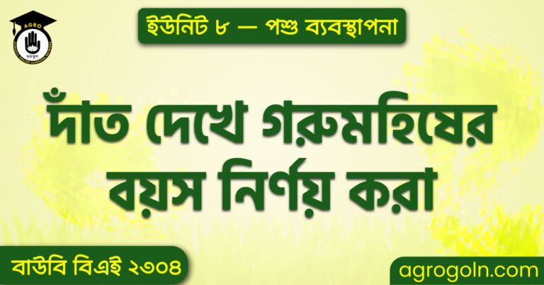 দাঁত দেখে গরুমহিষের বয়স নির্ণয় করা