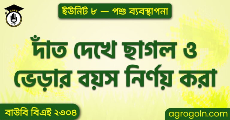 দাঁত দেখে ছাগল ও ভেড়ার বয়স নির্ণয় করা