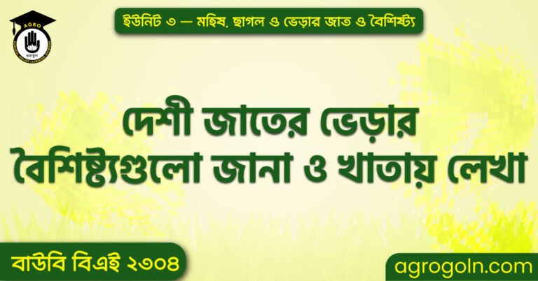 দেশী জাতের ভেড়ার বৈশিষ্ট্যগুলো জানা ও খাতায় লেখা