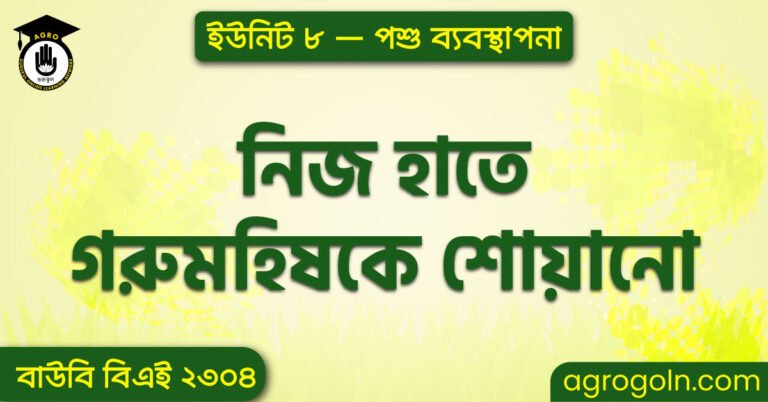 নিজ হাতে গরুমহিষকে শোয়ানো