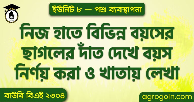 নিজ হাতে বিভিন্ন বয়সের ছাগলের দাঁত দেখে বয়স নির্ণয় করা ও খাতায় লেখা