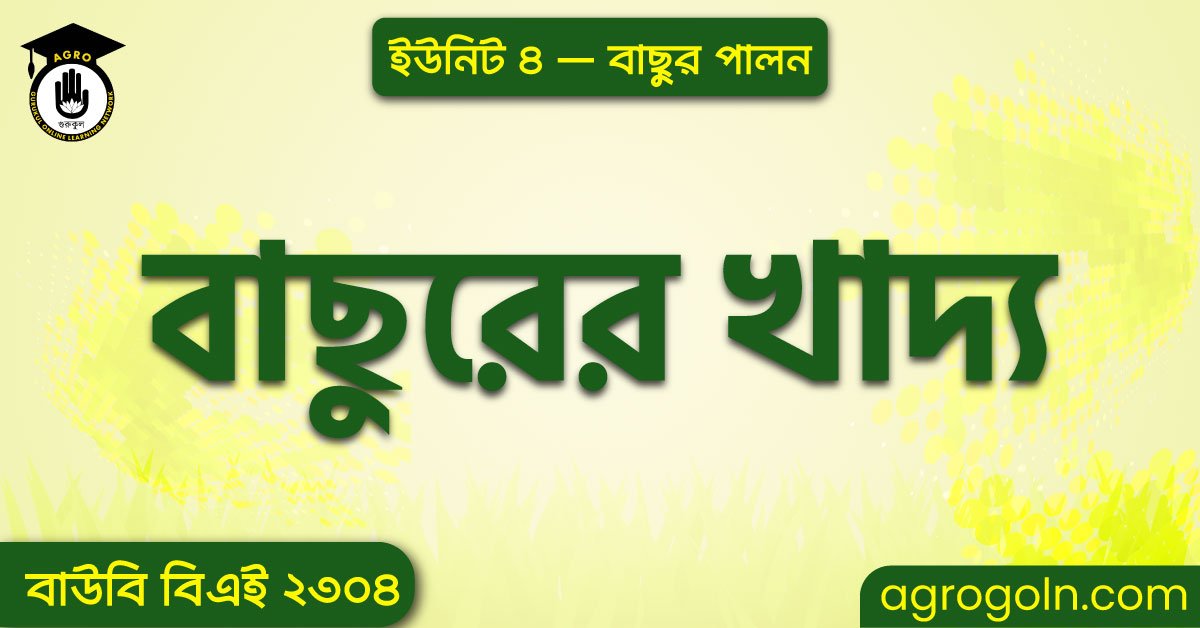 বাছুরের খাদ্য 1 বাছুরের খাদ্য