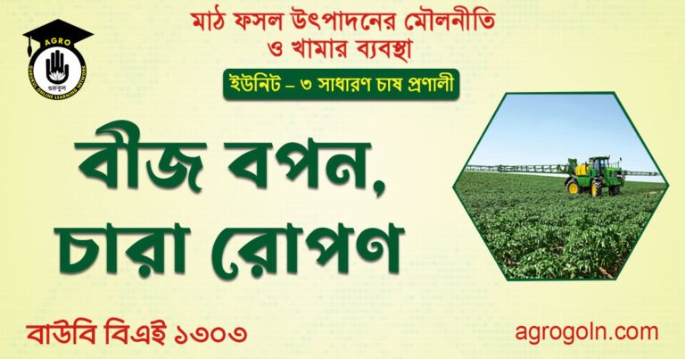 বীজ বপন, চারা রোপণ