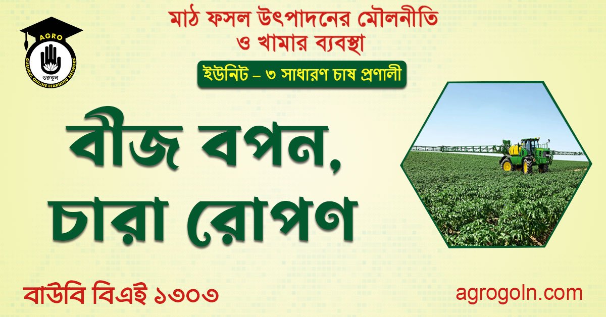 বীজ বপন, চারা রোপণ