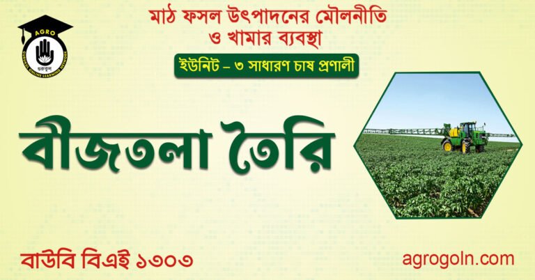 বীজতলা তৈরি