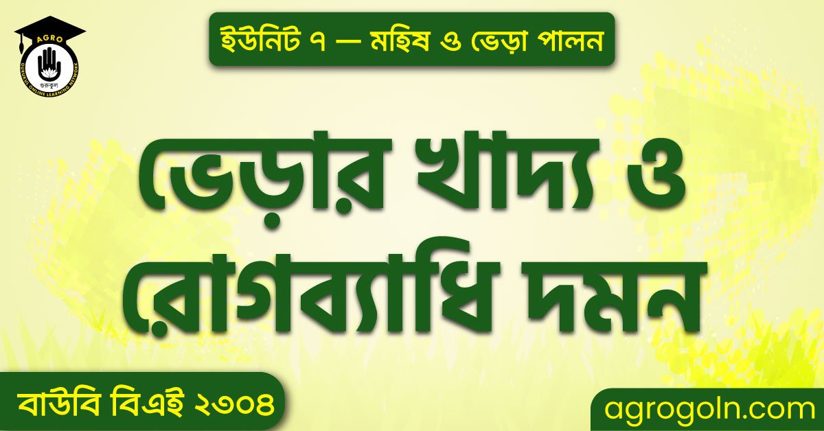 ভেড়ার খাদ্য ও রোগব্যাধি দমন