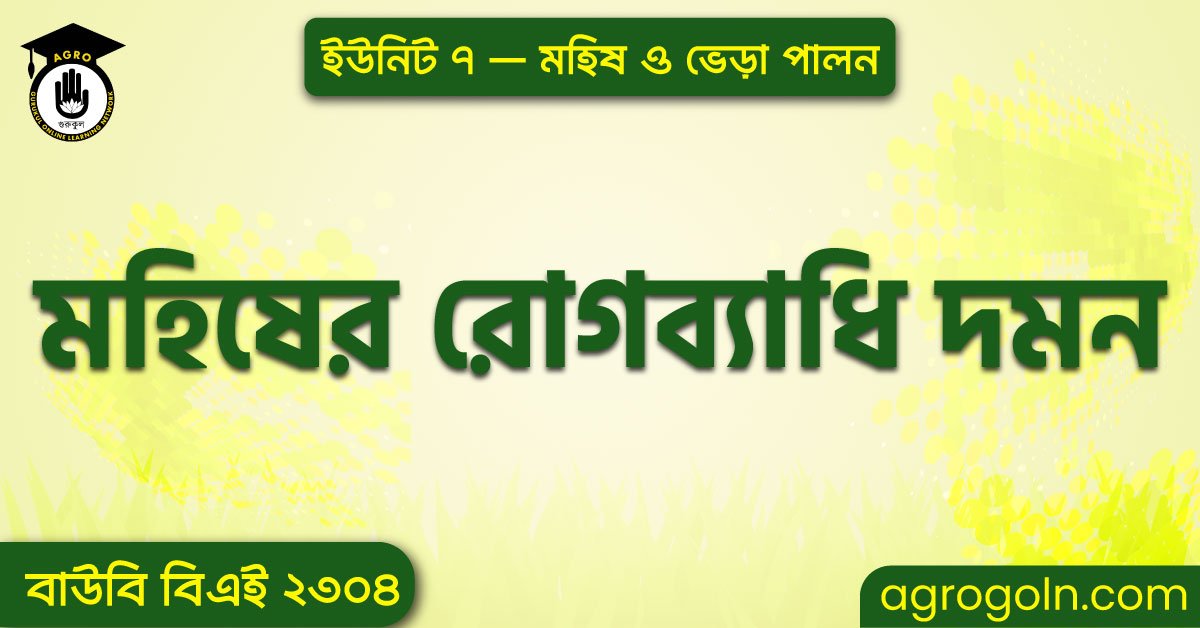 মহিষের রোগব্যাধি দমন