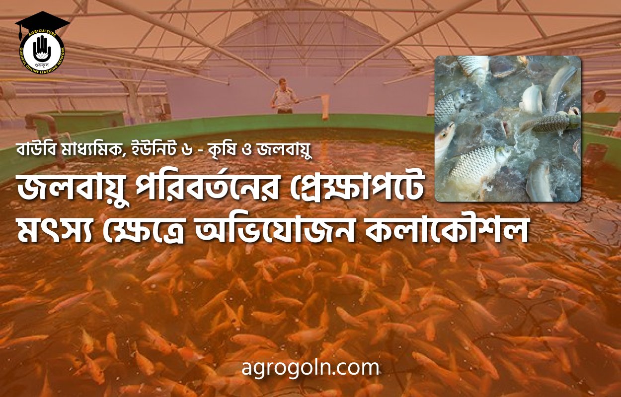 জলবায়ু পরিবর্তনের প্রেক্ষাপটে মৎস্য ক্ষেত্রে অভিযোজন কলাকৌশল
