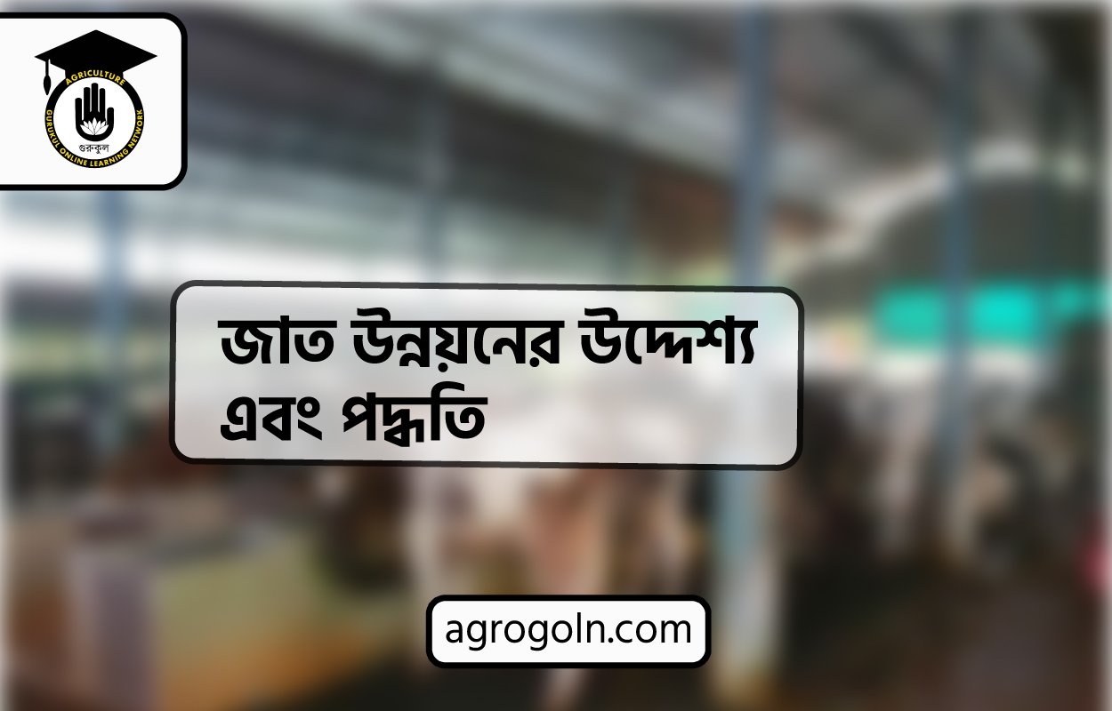 জাত উন্নয়নের উদ্দেশ্য এবং পদ্ধতি