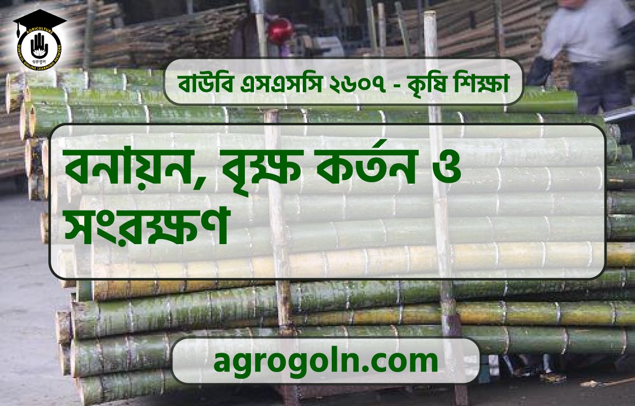 বনায়ন, বৃক্ষ কর্তন ও সংরক্ষণ