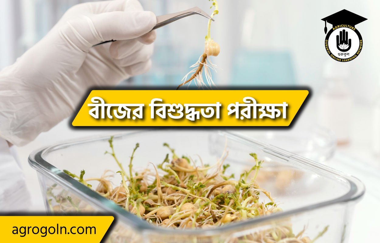 বীজের বিশুদ্ধতা পরীক্ষা