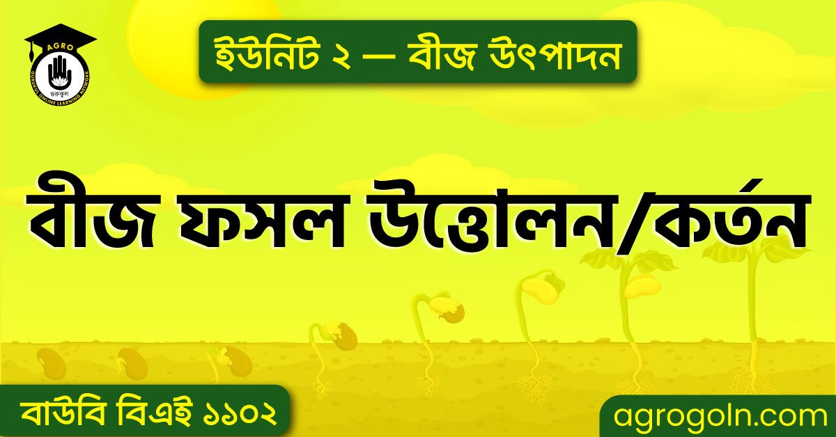 বীজ ফসল উত্তোলন বা বীজ কর্তন