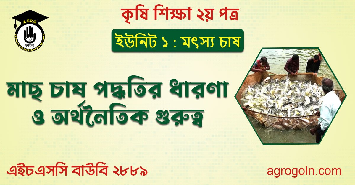 মাছ চাষ পদ্ধতির ধারণা ও অর্থনৈতিক গুরুত্ব