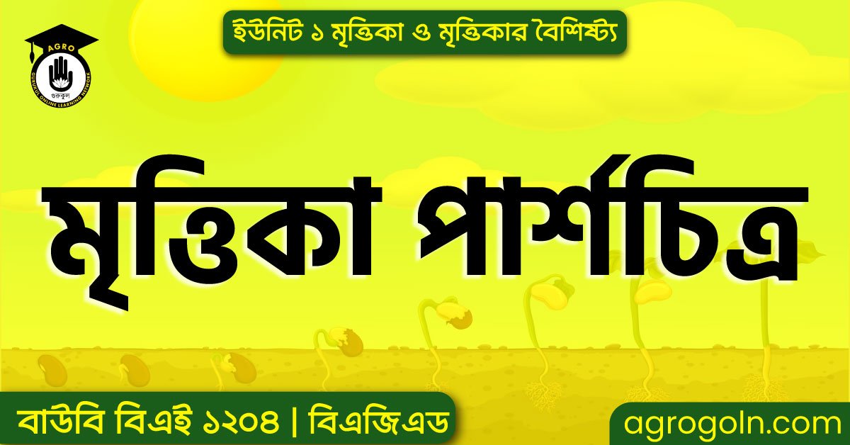 মৃত্তিকা পার্শচিত্র