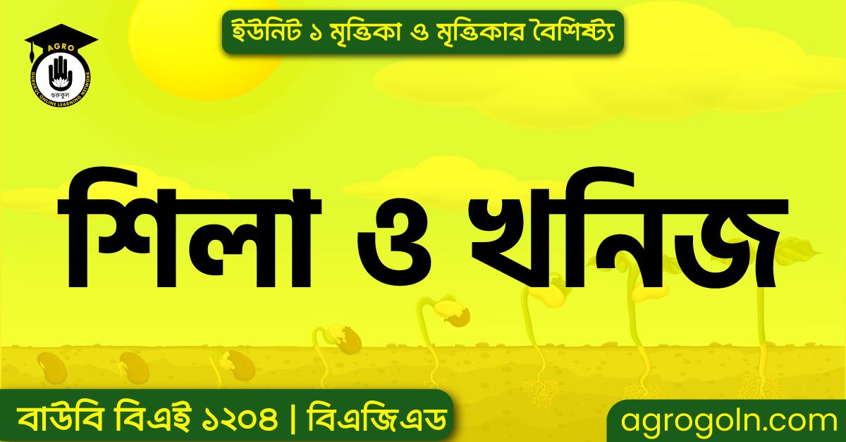 শিলা ও খনিজ