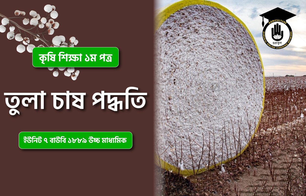 তুলা চাষ পদ্ধতি