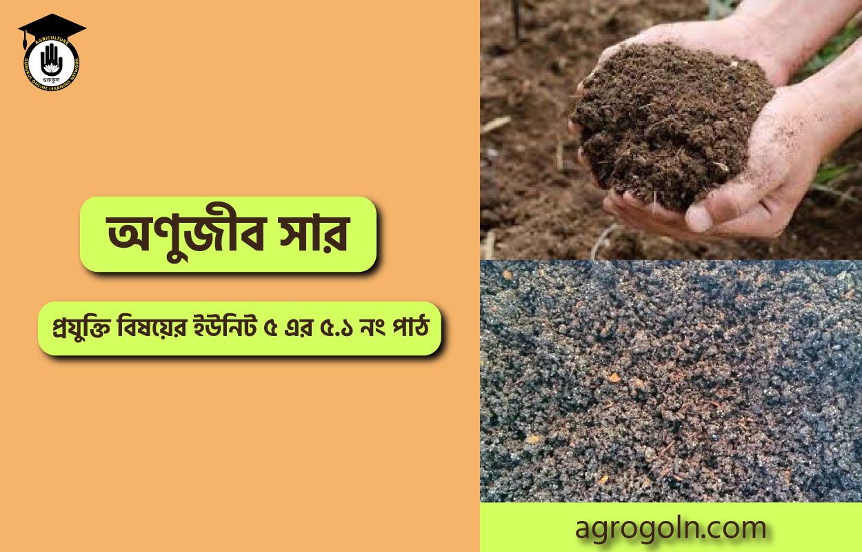 অণুজীব সার