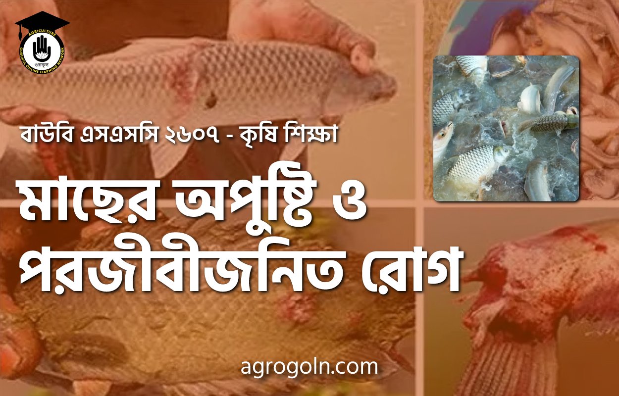 অপুষ্টি ও পরজীবীজনিত রোগ