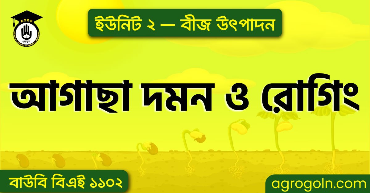 আগাছা দমন ও রোগিং