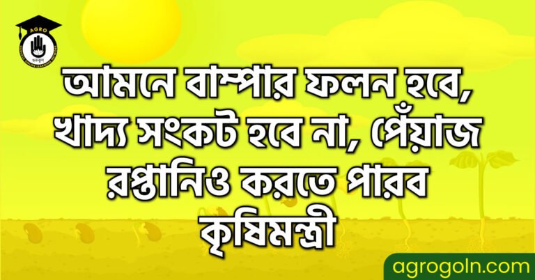 আমনে বাম্পার ফলন হবে,খাদ্য সংকট হবে না , পেঁয়াজ রপ্তানিও করতে পারব- কৃষিমন্ত্রী