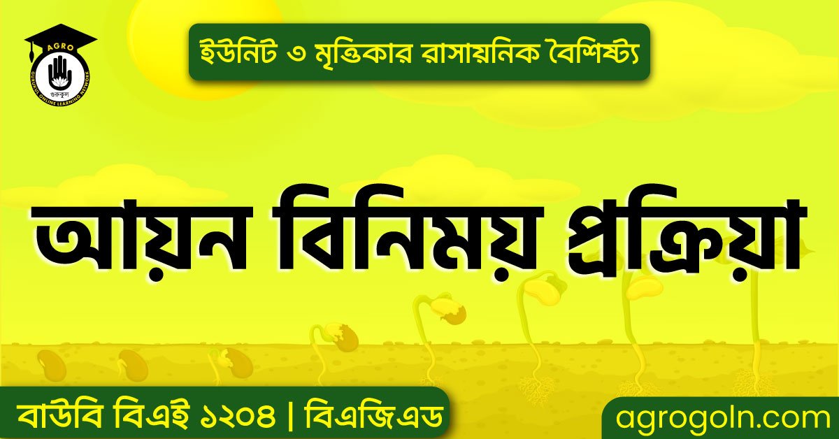 আয়ন বিনিময় প্রক্রিয়া