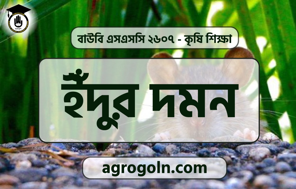 ইঁদুর দমন