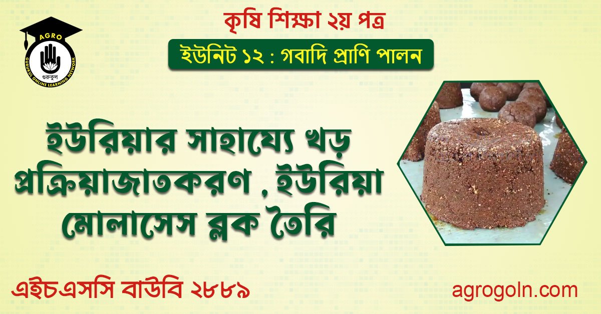 ইউরিয়ার সাহায্যে খড় প্রক্রিয়াজাতকরণ , ইউরিয়া মোলাসেস ব্লক তৈরি