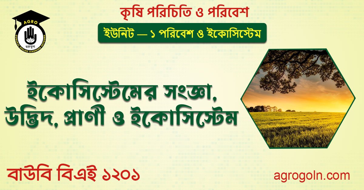 ইকোসিস্টেমের সংজ্ঞা, উদ্ভিদ, প্রাণী ও ইকোসিস্টেম 1 ইকোসিস্টেমের সংজ্ঞা, উদ্ভিদ, প্রাণী ও ইকোসিস্টেম
