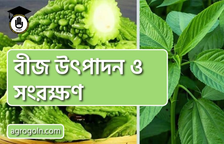 উদ্ভিদের পুষ্টি উপাদান