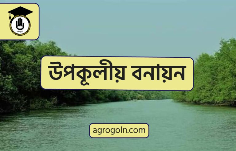 উপকূলীয় বনায়ন