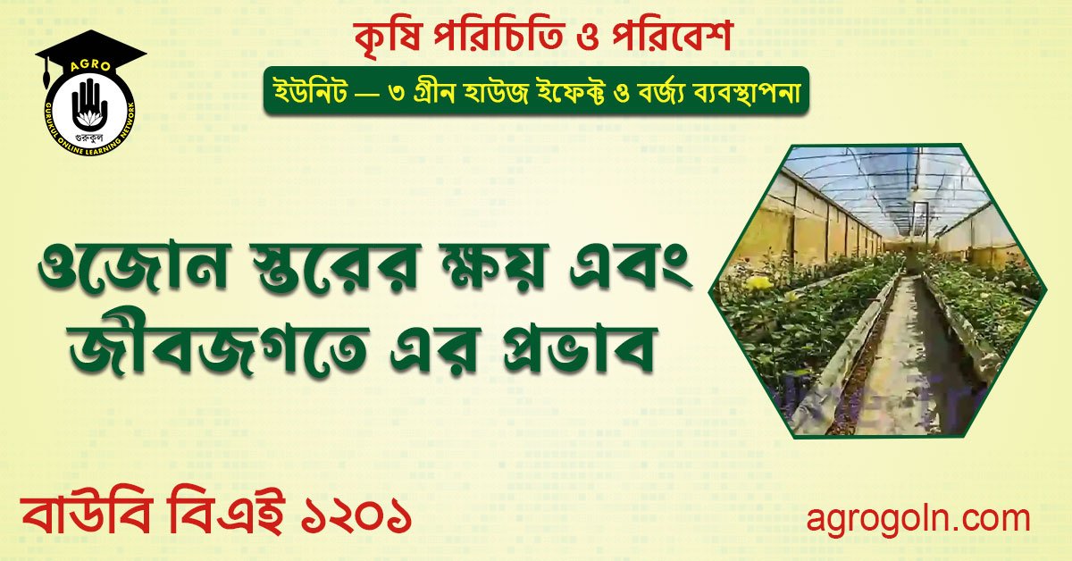 ওজোন স্তরের ক্ষয় এবং জীবজগতে এর প্রভাব