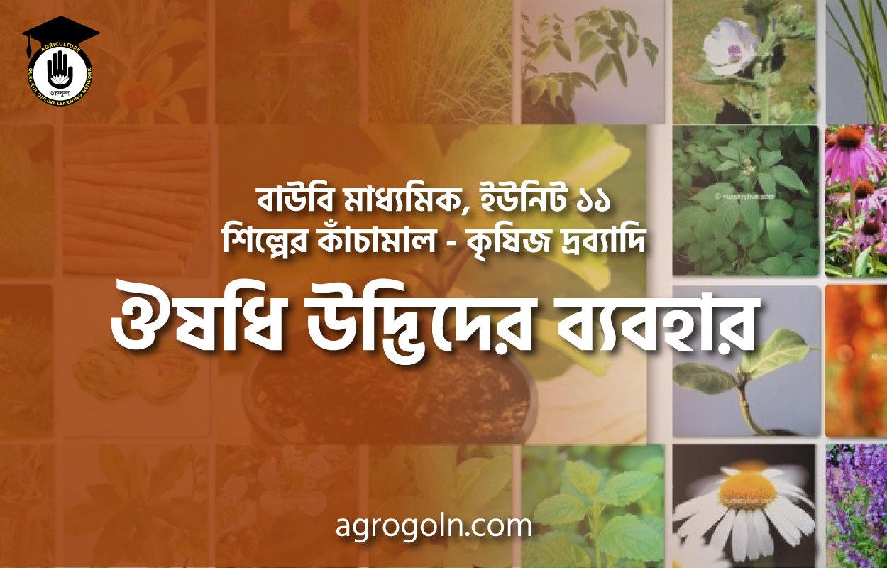 ঔষধি উদ্ভিদের ব্যবহার