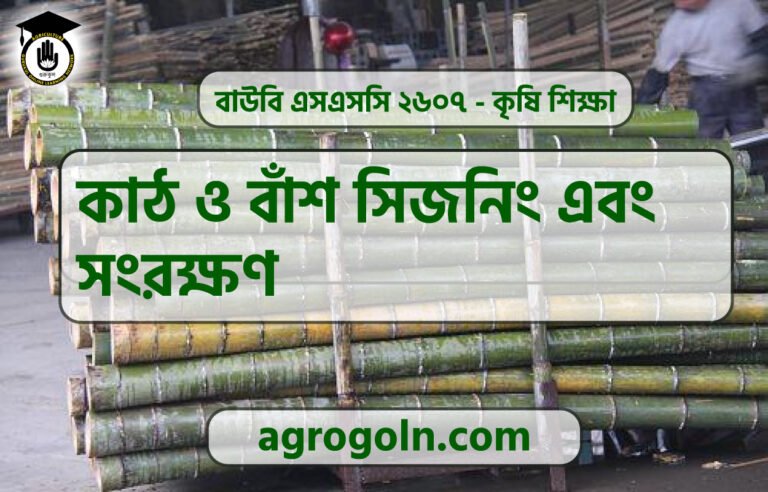কাঠ ও বাঁশ সিজনিং এবং সংরক্ষণ