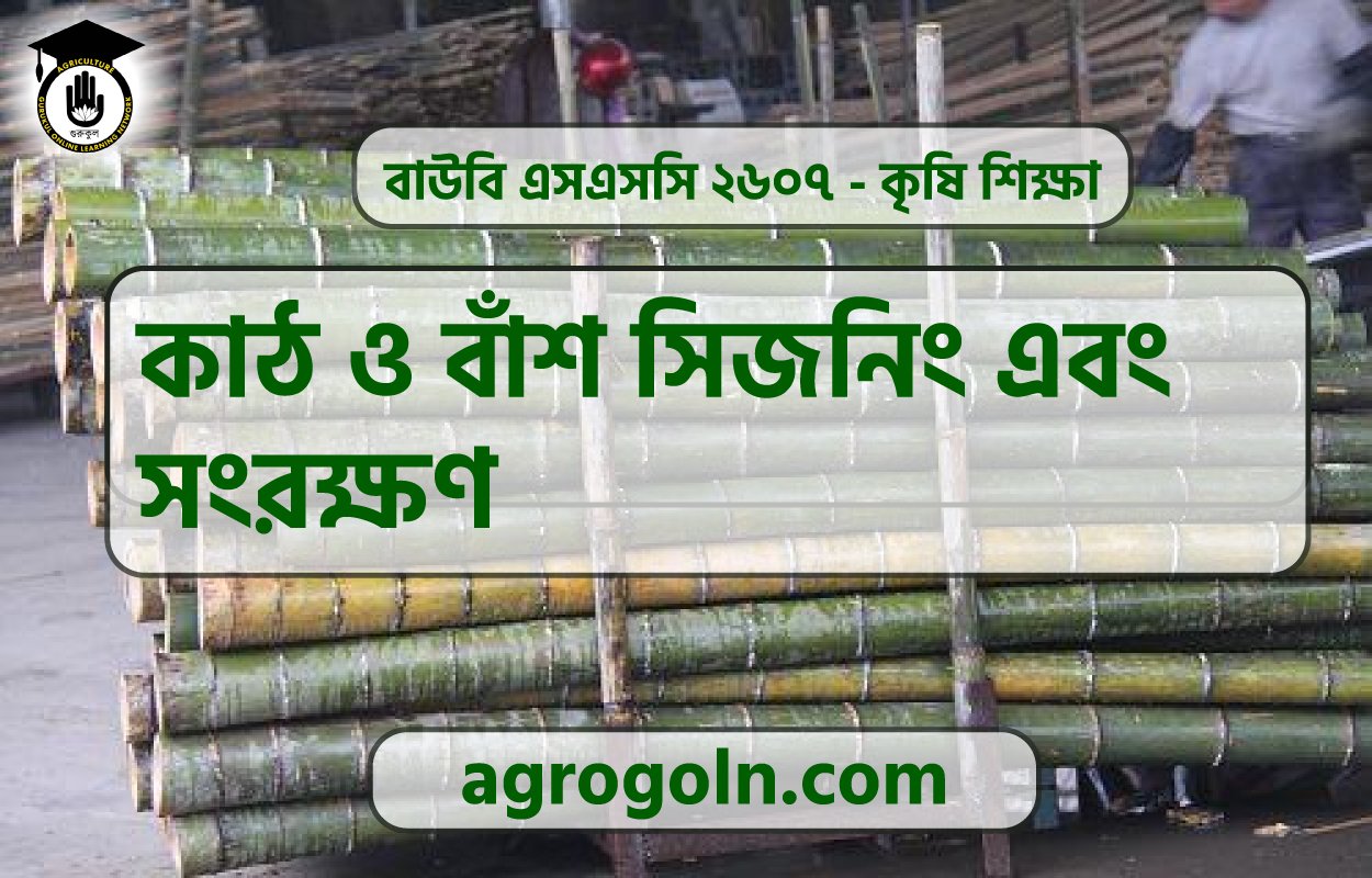 কাঠ ও বাঁশ সিজনিং এবং সংরক্ষণ