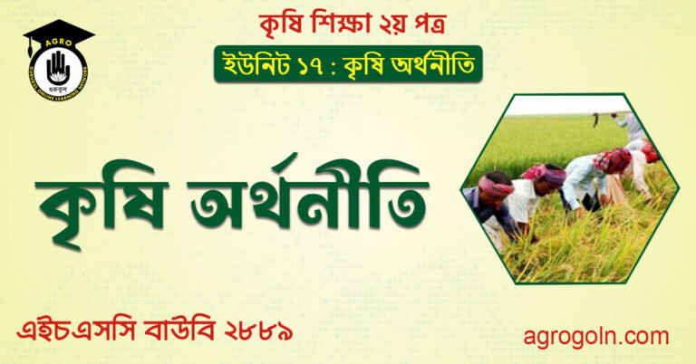 কৃষি অর্থনীতি