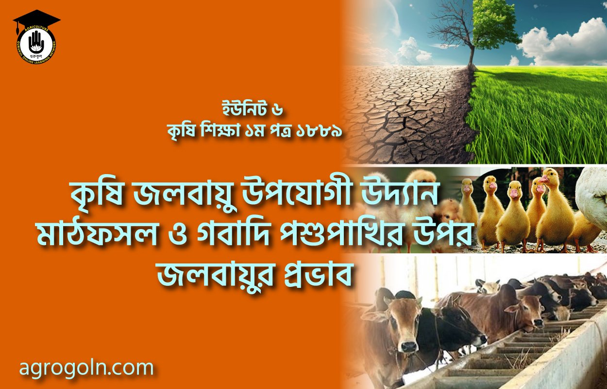 কৃষি জলবায়ু উপযোগী উদ্যান মাঠফসল ও গবাদি পশুপাখির উপর জলবায়ুর প্রভাব