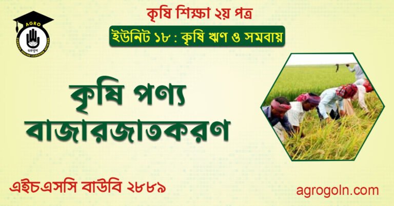 কৃষি পণ্য বাজারজাতকরণ