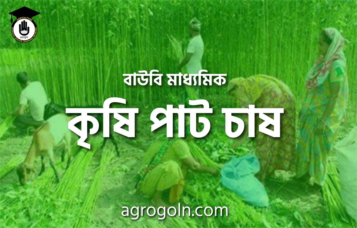 কৃষি পাট চাষ