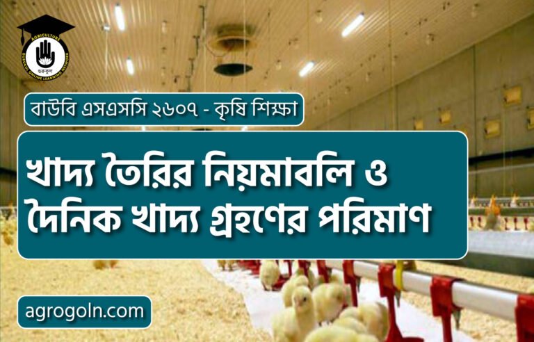 খাদ্য তৈরির নিয়মাবলি ও দৈনিক খাদ্য গ্রহণের পরিমাণ