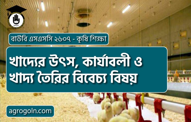 খাদ্যের উৎস, কার্যাবলী ও খাদ্য তৈরির বিবেচ্য বিষয়