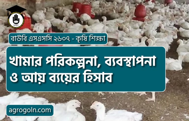 খামার পরিকল্পনা, ব্যবস্থাপনা ও আয় ব্যয়ের হিসাব