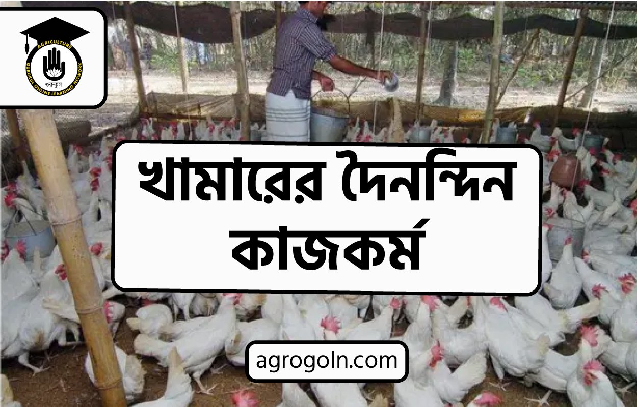 খামারের দৈনন্দিন কাজকর্ম 1 খামারের দৈনন্দিন কাজকর্ম